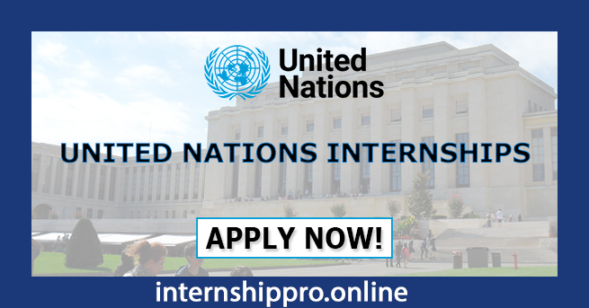 UN Internship