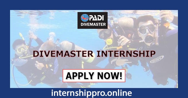 Divemaster Internship