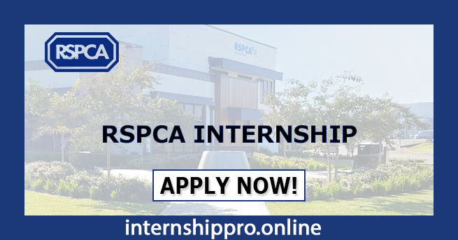 RSPCA Internship