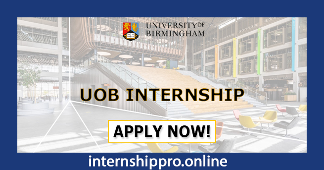 UOB Internship